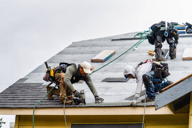Professional Roof Repair technician working in Three Rivers, MA
